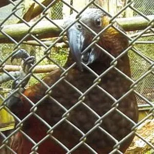 Everything's driving you crazy cos you just can't get what you want